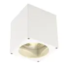 SLV Big Theo Plafond Spot Aluminium Wit | Buitenverlichting - IP44 - Geschikt voor 1x GU10 Max. 75W - Dimbaar